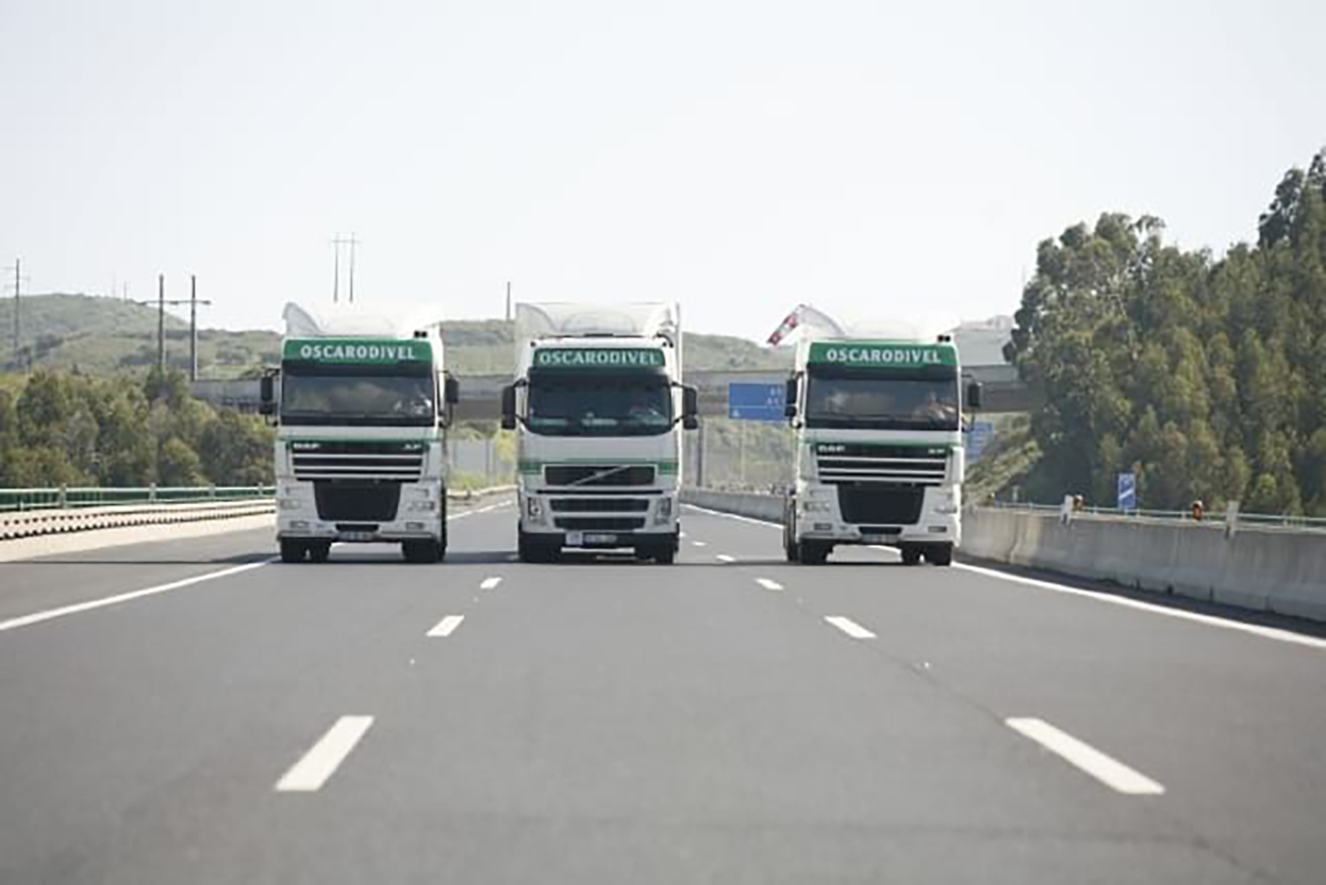 Transporte de Carga Internacional